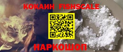 индика Сланцы