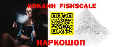 индика Сланцы