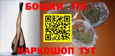 индика Сланцы