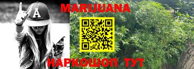 индика Сланцы