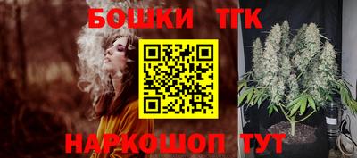 индика Сланцы