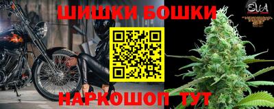 индика Сланцы