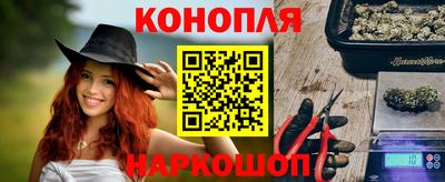 индика Сланцы