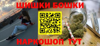 индика Сланцы