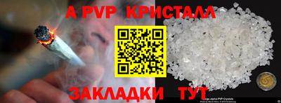 индика Сланцы
